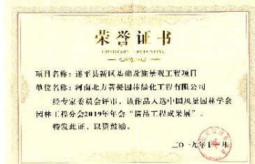 榮譽(yù)證書(shū)